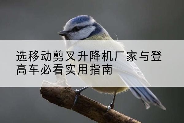 井陉电动升降机厂家-选移动剪叉升降机厂家与登高车必看实用指南