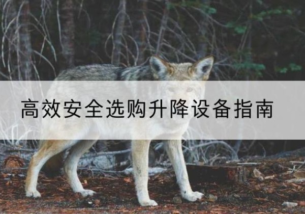 井陉升降货梯厂家推荐-*安全选购升降设备指南